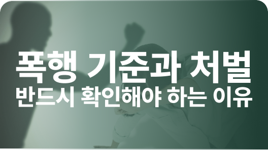 쌍방폭행 기준과 처벌 차이 관련 이미지