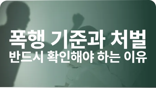 쌍방폭행 기준과 처벌 차이 관련 이미지